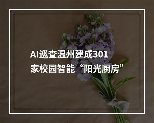 AI巡查温州建成301家校园智能“阳光厨房”