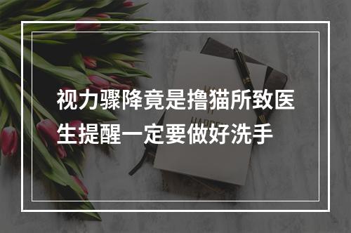 视力骤降竟是撸猫所致医生提醒一定要做好洗手