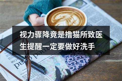 视力骤降竟是撸猫所致医生提醒一定要做好洗手