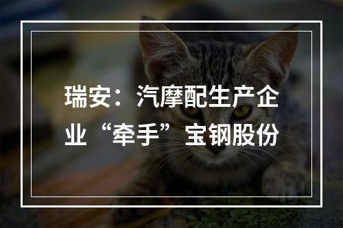 瑞安：汽摩配生产企业“牵手”宝钢股份