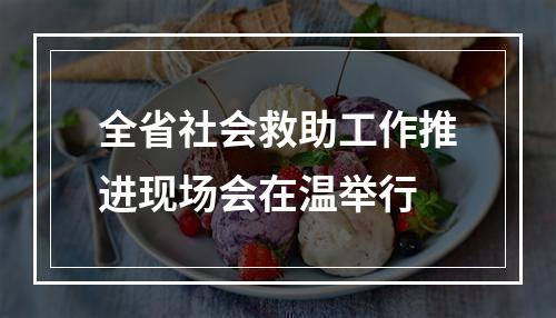 全省社会救助工作推进现场会在温举行