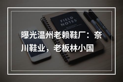 曝光温州老赖鞋厂：奈川鞋业，老板林小国