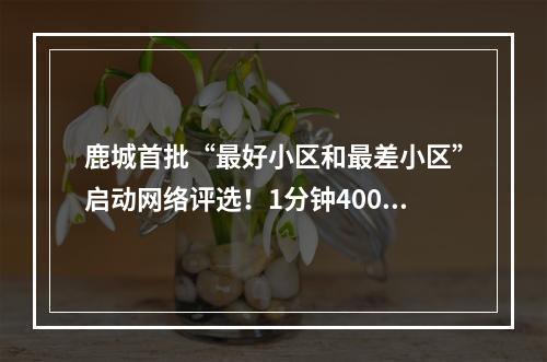 鹿城首批“最好小区和最差小区”启动网络评选！1分钟4000票，刷票太假！