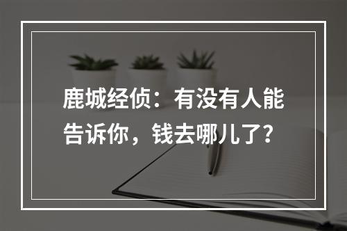 鹿城经侦：有没有人能告诉你，钱去哪儿了？