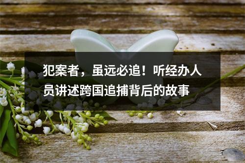 犯案者，虽远必追！听经办人员讲述跨国追捕背后的故事