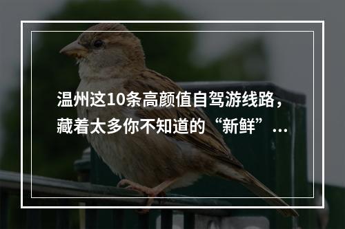 温州这10条高颜值自驾游线路，藏着太多你不知道的“新鲜”玩法！