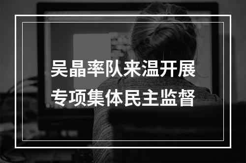 吴晶率队来温开展专项集体民主监督