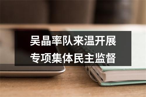 吴晶率队来温开展专项集体民主监督