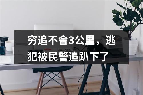 穷追不舍3公里，逃犯被民警追趴下了