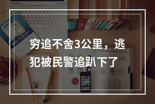 穷追不舍3公里，逃犯被民警追趴下了