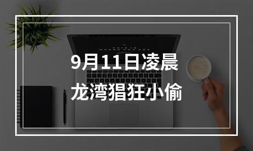 9月11日凌晨龙湾猖狂小偷