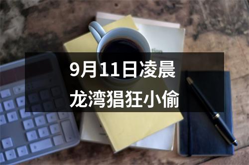 9月11日凌晨龙湾猖狂小偷