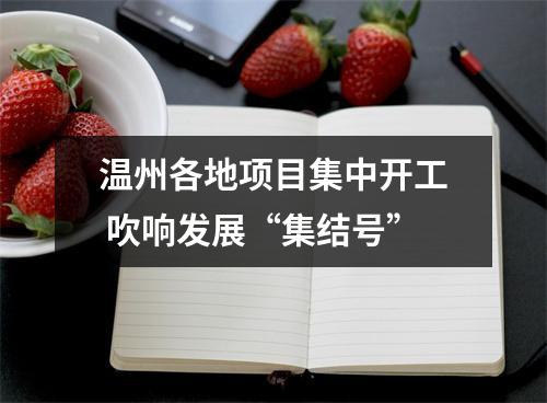 温州各地项目集中开工 吹响发展“集结号”