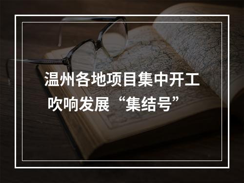 温州各地项目集中开工 吹响发展“集结号”