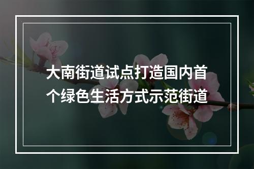 大南街道试点打造国内首个绿色生活方式示范街道