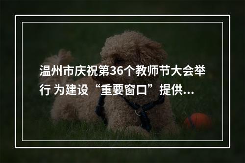 温州市庆祝第36个教师节大会举行 为建设“重要窗口”提供教育坚实支撑