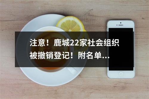 注意！鹿城22家社会组织被撤销登记！附名单...