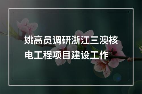 姚高员调研浙江三澳核电工程项目建设工作