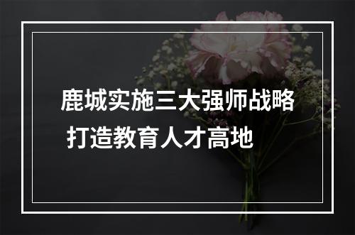 鹿城实施三大强师战略 打造教育人才高地