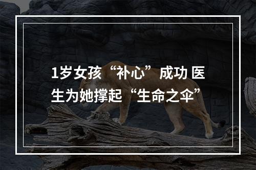 1岁女孩“补心”成功 医生为她撑起“生命之伞”