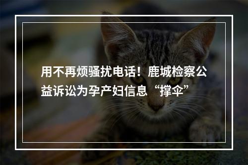 用不再烦骚扰电话！鹿城检察公益诉讼为孕产妇信息“撑伞”