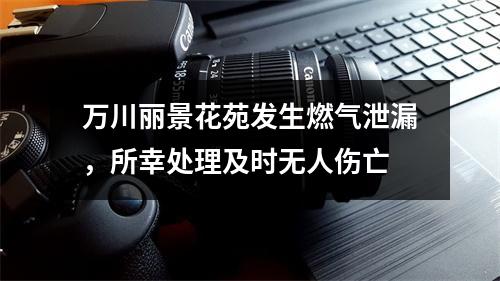 万川丽景花苑发生燃气泄漏，所幸处理及时无人伤亡