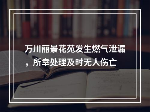 万川丽景花苑发生燃气泄漏，所幸处理及时无人伤亡