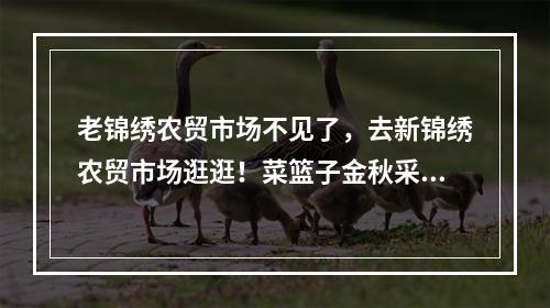 老锦绣农贸市场不见了，去新锦绣农贸市场逛逛！菜篮子金秋采购节明天开启