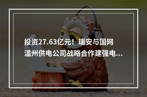 投资27.63亿元！瑞安与国网温州供电公司战略合作建强电网