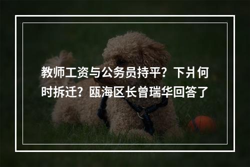 教师工资与公务员持平？下爿何时拆迁？瓯海区长曾瑞华回答了