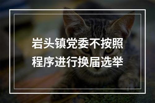 岩头镇党委不按照程序进行换届选举