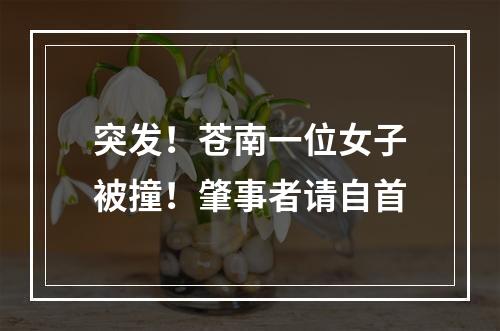 突发！苍南一位女子被撞！肇事者请自首