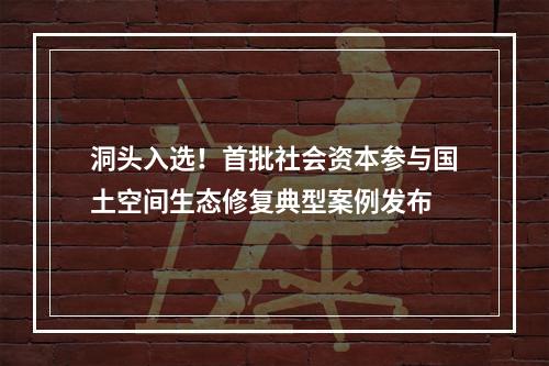 洞头入选！首批社会资本参与国土空间生态修复典型案例发布