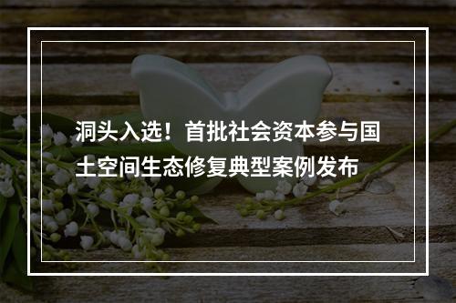 洞头入选！首批社会资本参与国土空间生态修复典型案例发布