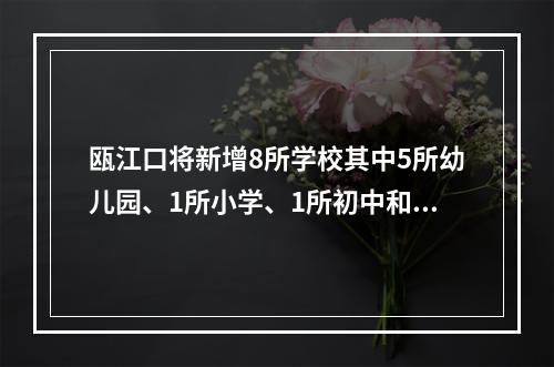 瓯江口将新增8所学校其中5所幼儿园、1所小学、1所初中和1所九年制学校