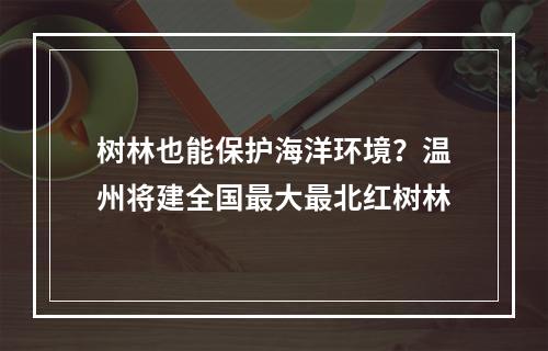 树林也能保护海洋环境？温州将建全国最大最北红树林