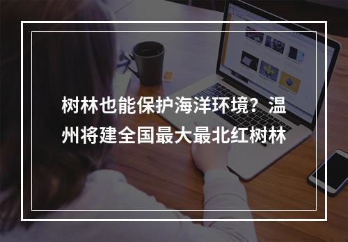 树林也能保护海洋环境？温州将建全国最大最北红树林