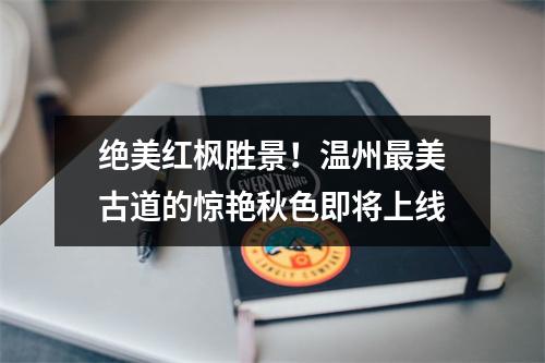绝美红枫胜景！温州最美古道的惊艳秋色即将上线