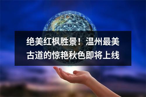 绝美红枫胜景！温州最美古道的惊艳秋色即将上线