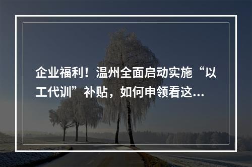 企业福利！温州全面启动实施“以工代训”补贴，如何申领看这里