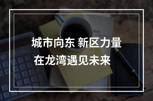 城市向东 新区力量 在龙湾遇见未来