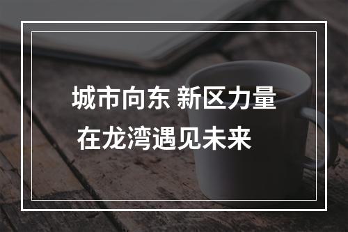 城市向东 新区力量 在龙湾遇见未来
