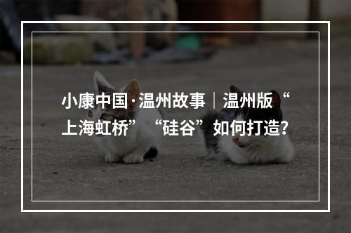 小康中国·温州故事｜温州版“上海虹桥”“硅谷”如何打造？