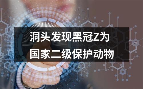洞头发现黑冠Z为国家二级保护动物