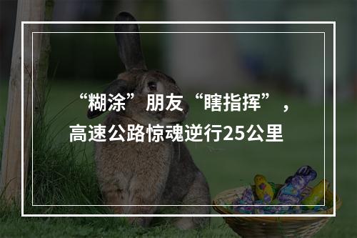 “糊涂”朋友“瞎指挥”，高速公路惊魂逆行25公里