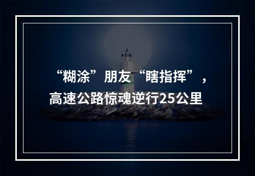 “糊涂”朋友“瞎指挥”，高速公路惊魂逆行25公里