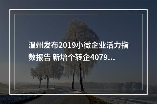 温州发布2019小微企业活力指数报告 新增个转企4079家 全省增速第一