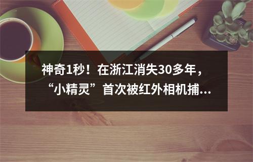 神奇1秒！在浙江消失30多年，“小精灵”首次被红外相机捕捉！