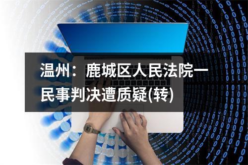 温州：鹿城区人民法院一民事判决遭质疑(转)