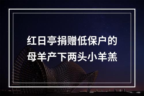 红日亭捐赠低保户的母羊产下两头小羊羔